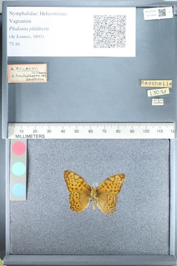 Media type: image;   Entomology 159024